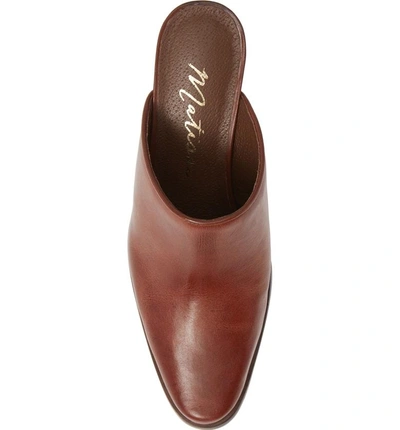 Shop Matisse Commodore Mule In Brown Leather
