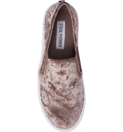 Shop Steve Madden Ecntrcv Slip-on Sneaker In Mushroom Fabric