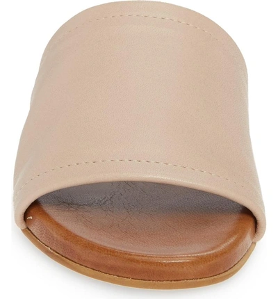 Shop Steve Madden Caparzo Slide Sandal In Blush Leather
