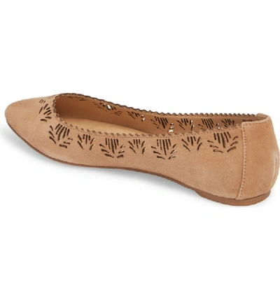 Shop Joe's Virginia Flat In Mink Suede