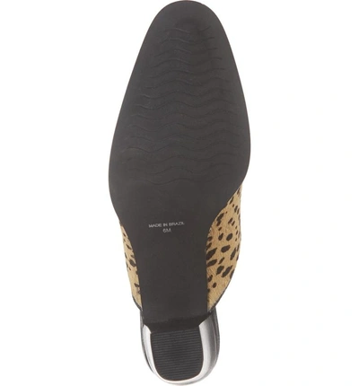 Shop Matisse Commodore Genuine Calf Hair Mule In Leopard Cow Hair