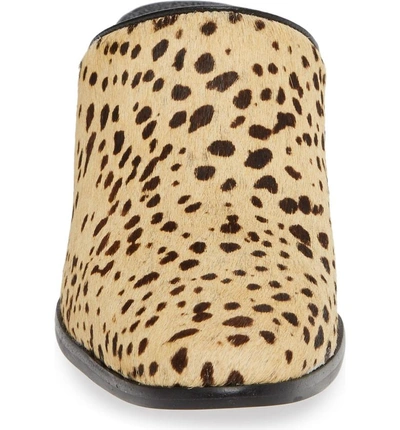 Shop Matisse Commodore Genuine Calf Hair Mule In Leopard Cow Hair