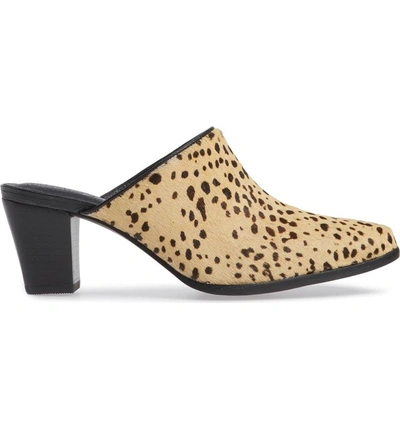 Shop Matisse Commodore Genuine Calf Hair Mule In Leopard Cow Hair