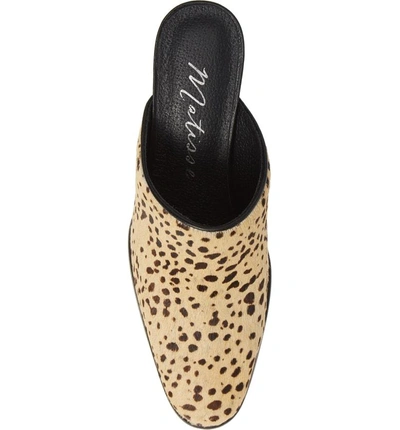 Shop Matisse Commodore Genuine Calf Hair Mule In Leopard Cow Hair