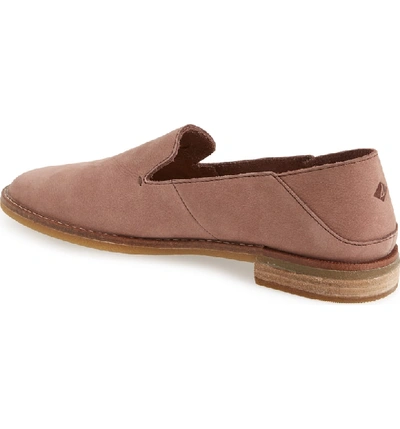 Shop Sperry Seaport Levy Flat In Mauve Leather