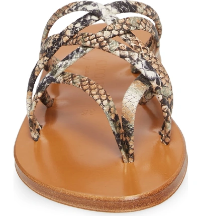 Shop Kjacques K. Jacques St. Tropez Strappy Thong Sandal In Hawai Arce