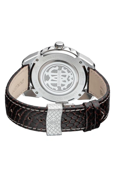 Shop Roberto Cavalli By Franck Muller Costellato Leather Strap Watch In Brown/ Silver