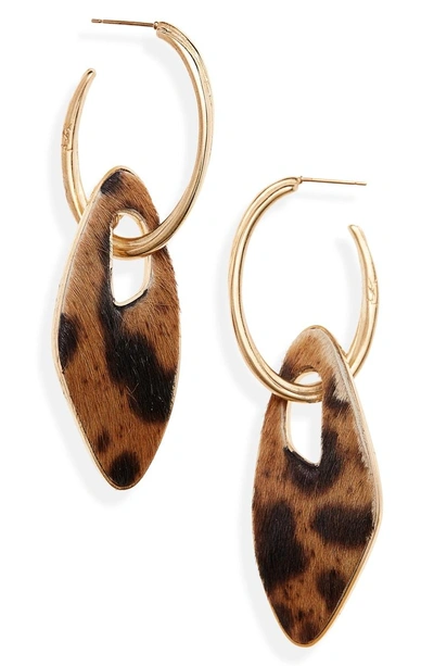 Shop Saint Laurent Leopard Genuine Calf Hair Hoop Earrings In Brass/ Leopard