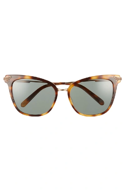 Shop Shwood Arlene 56mm Polarized Cat Eye Sunglasses - Tortoise/gold/ Green
