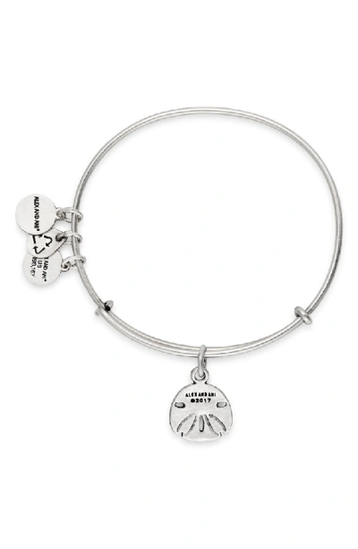 Shop Alex And Ani Sand Dollar Adjustable Wire Bangle In Silver