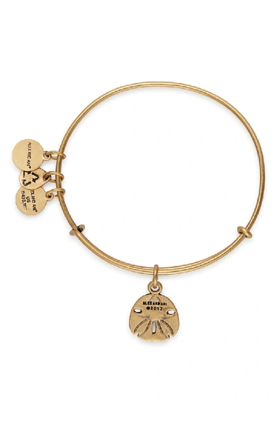 Shop Alex And Ani Sand Dollar Adjustable Wire Bangle In Gold