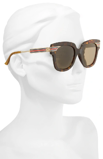 Shop Gucci 51mm Cat Eye Sunglasses - Dark Havana/ Gold