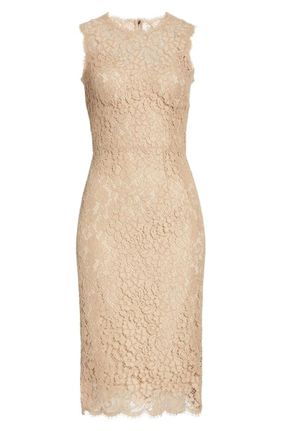 Shop Dolce & Gabbana Lace Pencil Dress In Nude