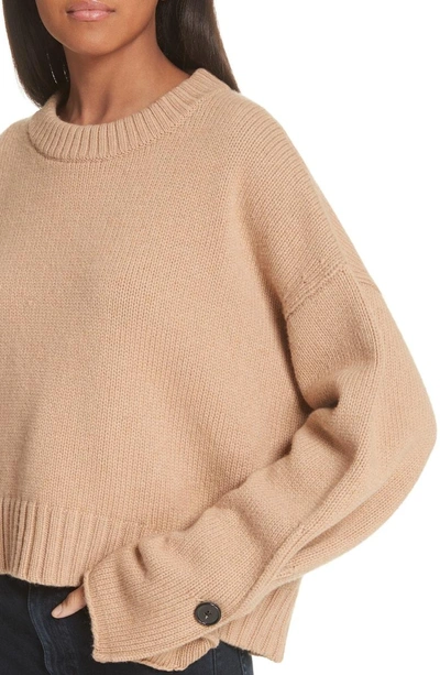 Shop Proenza Schouler Button Cuff Wool & Cashmere Blend Sweater In Camel