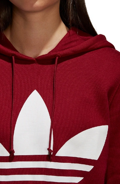 Shop Adidas Originals Trefoil Hoodie In Collegiate Burgundy