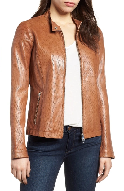 Shop Lamarque Perforated Leather Biker Jacket In Tan