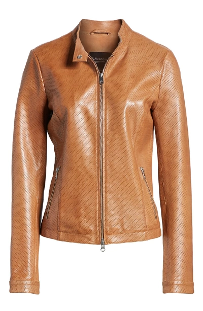 Shop Lamarque Perforated Leather Biker Jacket In Tan