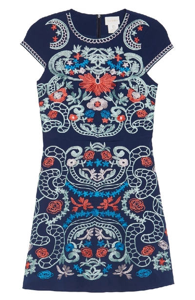 Shop Foxiedox Sierra Embroidered Dress In Navy Multi