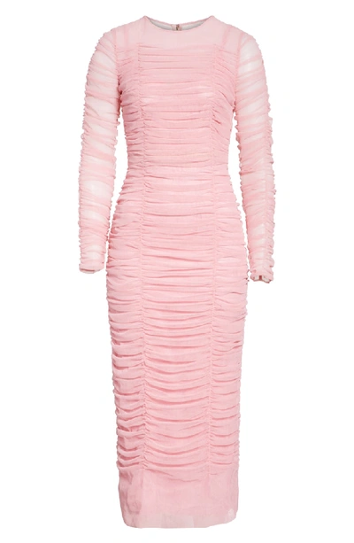 Shop Dolce & Gabbana Ruched Tulle Body-con Dress In Rosa