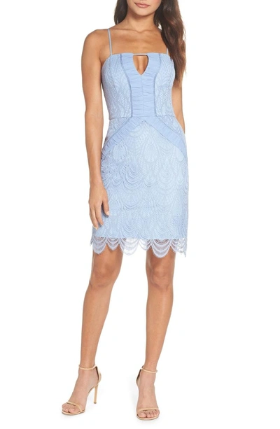 Shop Harlyn Scallop Hem Lace Cocktail Sheath In Powder Blue