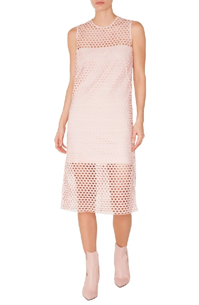 Shop Akris Punto Crochet Shift Dress In Pink Rose