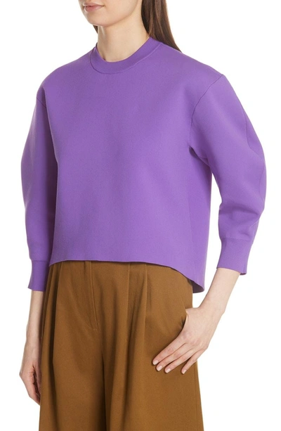 Shop Tibi Sculpted Sleeve Sweater In Purple