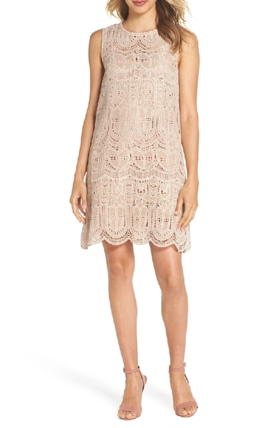 Shop Nsr Scallop Lace Shift Dress In Taupe