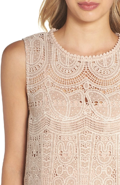 Shop Nsr Scallop Lace Shift Dress In Taupe