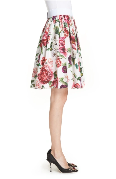 Shop Dolce & Gabbana Peony Print Cotton Poplin Skirt In Peonie