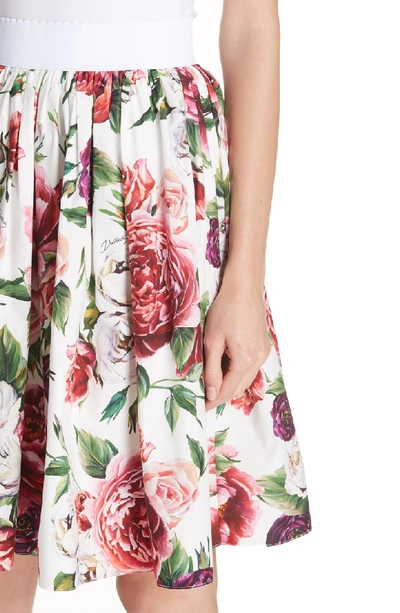 Shop Dolce & Gabbana Peony Print Cotton Poplin Skirt In Peonie