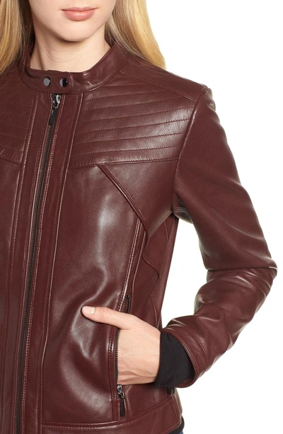 Shop Bernardo Stitched Leather Jacket In Wine