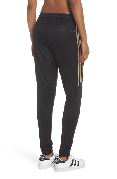 Shop Adidas Originals Tiro 17 Training Pants In Black/ Gold