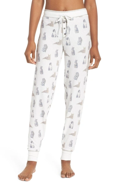 Shop Pj Salvage Banded Lounge Pants In Natural