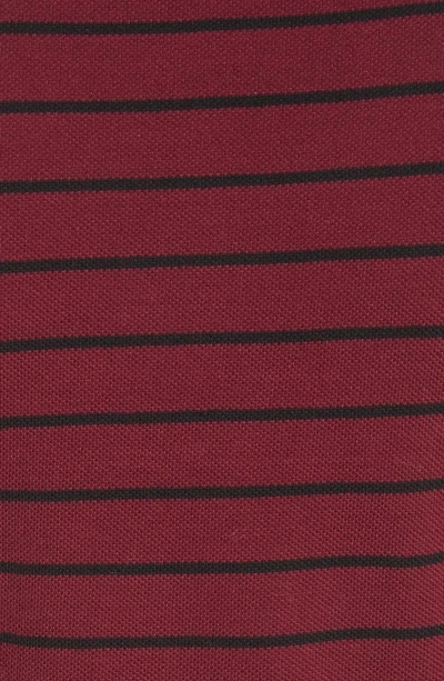 Shop Alexander Wang T Tie Waist Polo Dress In Black/ Oxblood Stripe