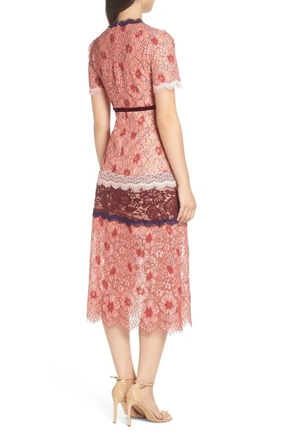 Shop Foxiedox Sadie Midi Dress In Pink Multi