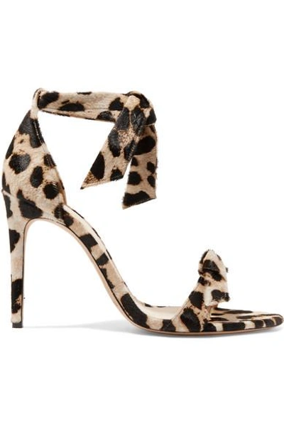 Shop Alexandre Birman Clarita Bow-embellished Leopard-print Calf Hair Sandals In Leopard Print