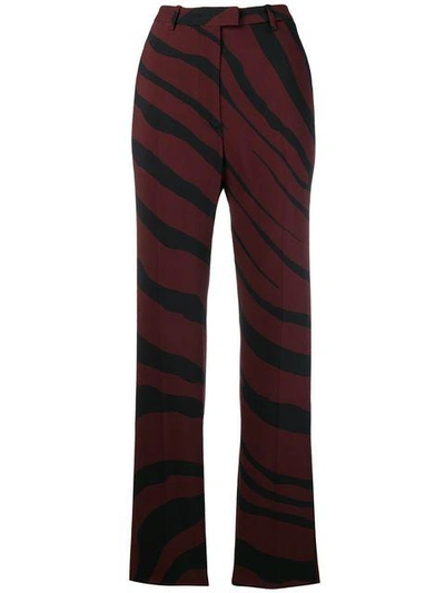Shop Roberto Cavalli Tiger Stripe Trousers - Red