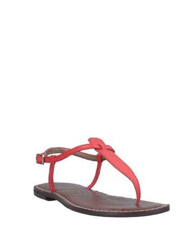 Shop Sam Edelman Toe Strap Sandals In Coral