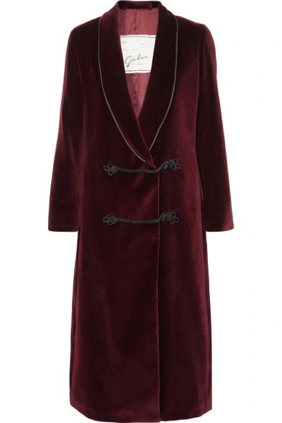 Shop Giuliva Heritage Collection Claudia Cotton-velvet Coat In Burgundy