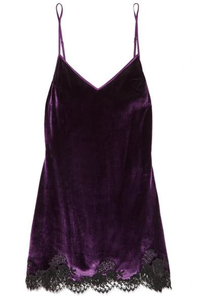 Shop Id Sarrieri Chantilly Lace-trimmed Velvet Chemise In Purple