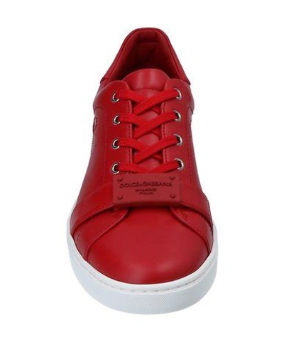 Shop Dolce & Gabbana Sneakers In Red