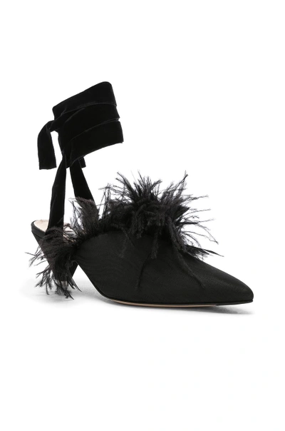 Shop Attico Feather Embellished Cara Strappy Mules In Black