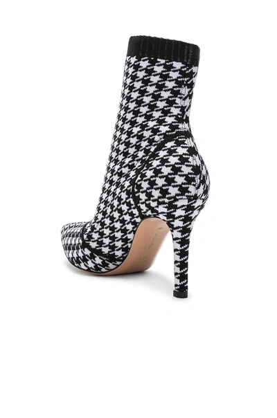 Shop Gianvito Rossi Houndstooth Knit Ankle Boots In White & Black