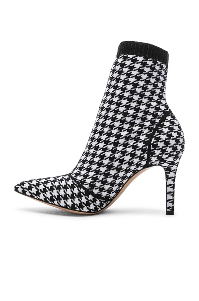 Shop Gianvito Rossi Houndstooth Knit Ankle Boots In White & Black
