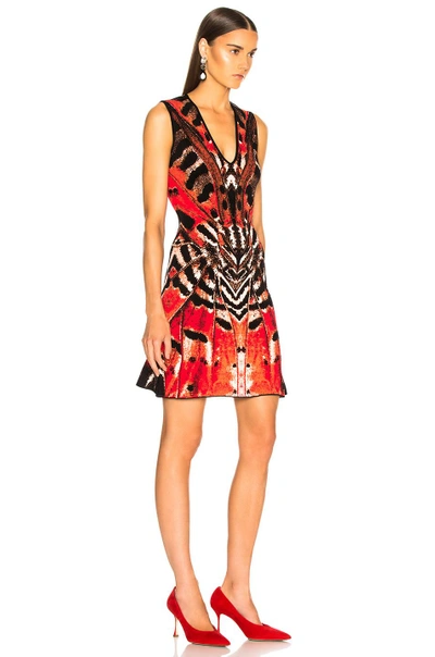 Shop Alexander Mcqueen Engineered Butterfly Jacquard Sleeveless Mini Dress In Red  Orange & Black