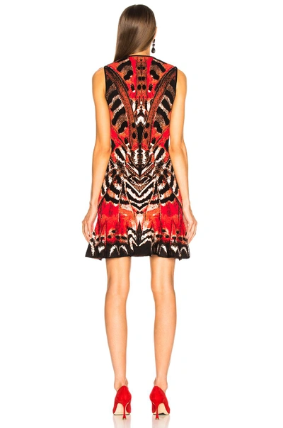 Shop Alexander Mcqueen Engineered Butterfly Jacquard Sleeveless Mini Dress In Red  Orange & Black