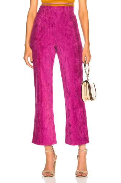 Shop Mara Hoffman Lucy Pant In Raspberry