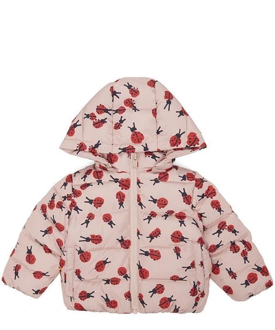 Shop Stella Mccartney Hubert Baby Puffer Ladybird Jacket 3 Months-3 Years In Pink