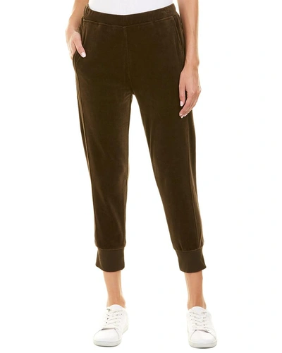 Shop Vince Velour Cuffed Jogger In Brown