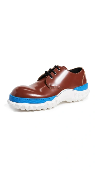 Shop Marni Exaggerated Sole Lace Ups In Brown/cobalt/white